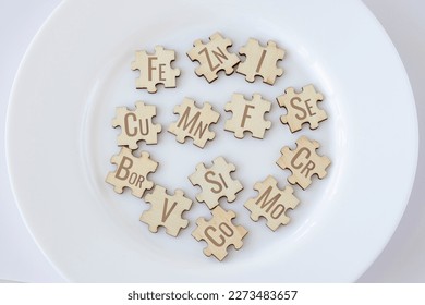 Basic essential micronutrients for humans written on wooden puzzles lying on a white plate