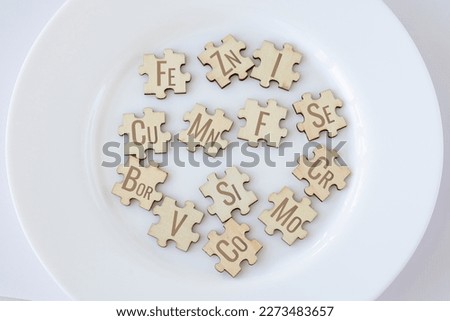Basic essential micronutrients for humans written on wooden puzzles lying on a white plate