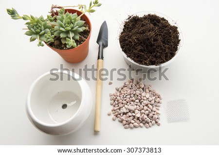 Basic gardening items required for planting or re-potting.  The chosen growing succulent plant, a larger pot, soil mixture, a mini spade for easy handling and some small stone for decoration.
