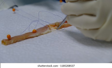 311 Basic Surgical Skills Images, Stock Photos & Vectors | Shutterstock