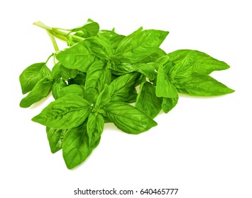 Basil Bunch  Isolated On White