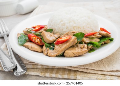 Basil Fried Rice With Chicken (Pad Kra Prao Kai), Thai Food