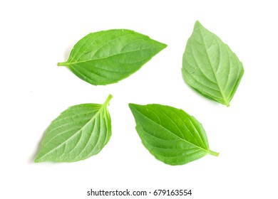basil herb leaves isolated on white background closeup - Shutterstock ID 679163554