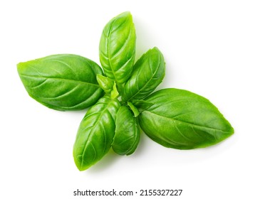 Basil isolated. Green basil leaf flat lay on white. Basil leaves top view. White background. Full depth of field. - Shutterstock ID 2155327227