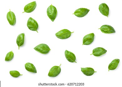 Basil leaves isolated on white background. Top view. Flat lay - Shutterstock ID 620712203
