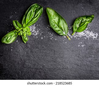 Basil Leaves And Salt On Black Slate, Food Background With Copy Space