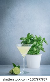 Basil Or Lime Martini Drink On Grey Background With Basil Plant