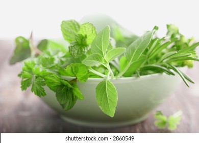 Basil, Mint,parsley,rosemary,thyme