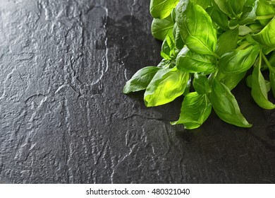 Basil on a dark background.