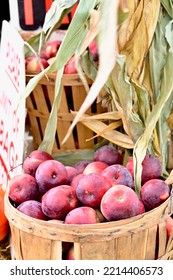 A Basket Of Apples With Corn Stalks On Display At A Small Town Festival