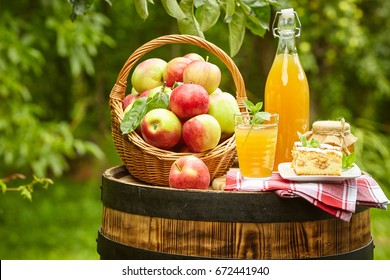 Basket Of Apples On Background Orchard Standing On A Barrel. Apple Juice And Apple Preserves.