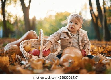 With basket of apples and pears. Little boy is sitting in the autumn park with butternut squash. - Powered by Shutterstock