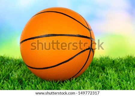 Basket ball, on green grass, on bright background