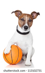 Basket Ball  Winner Dog