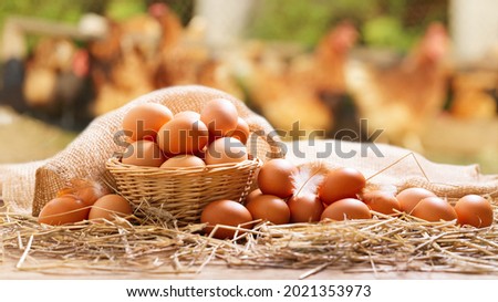 basket of chicken eggs on a wooden table over farm in the countryside