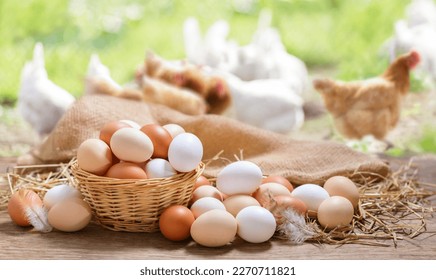 Basket of colorful chicken eggs on a wooden table in the chicken farm