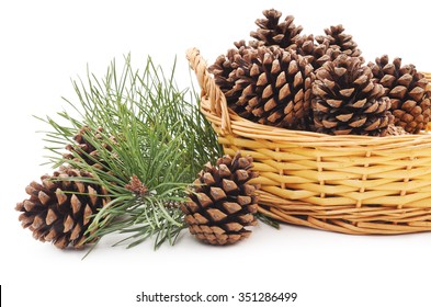 Basket with cones isolated on a white background. - Powered by Shutterstock