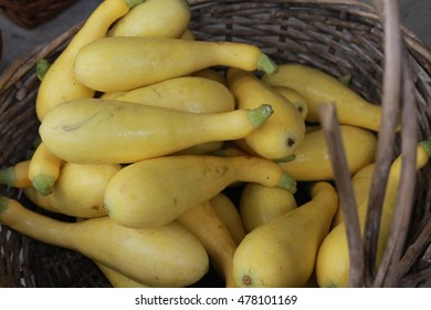 Basket Of Crookneck Squash