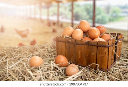 Basket of eggs on hay bale In the chicken farm  - Powered by Shutterstock