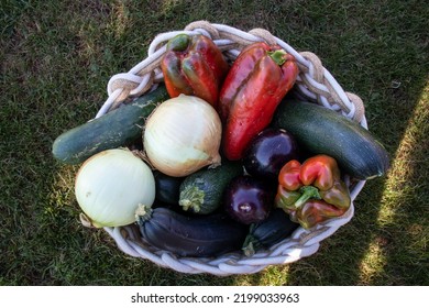 Basket filled with various types of vegetables: peppers, courgettes, cucumbers, onions... on grass