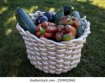 Basket filled with various types of vegetables: peppers, courgettes, cucumbers, onions... on grass