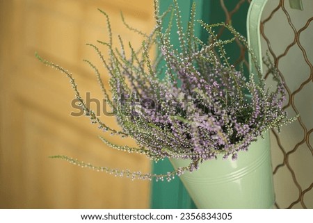 Similar – #A# Lavender on the table