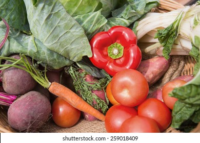 Basket Of Fresh Organic Veg On A Sunny Day