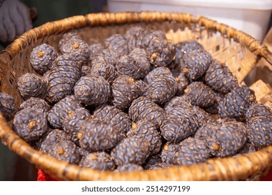 Basket of fresh pinecones, natural wooden container filled with brown pine cones, rustic decor, concept of wilderness gathering - Powered by Shutterstock