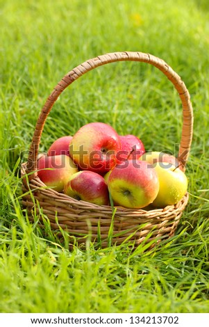 Similar – Image, Stock Photo Fruit orchard