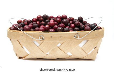 A Basket Of Freshly Picked Muscadine Grapes On A White Background.