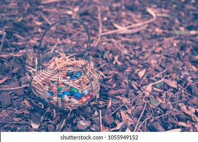 Basket full of easter chocolates eggs on a  undergrowth. 
