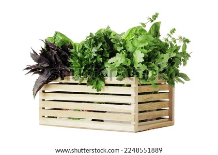 Basket full of fresh herbs isolated on white background