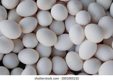 A Basket Full Of Fresh White Eggs At Pune Market Maharashtra.