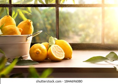 Korb voller Zitronen in der Küche mit einem Fenster und einem Zitronenhain im Hintergrund. Vorderseite. Horizontale Zusammensetzung.