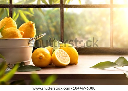 Basket full of lemons on kitchen with a window and a lemon grove in the background. Front view. Horizontal composition.