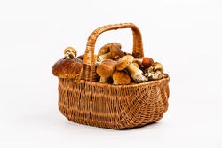 Basket Full Of Mushrooms On A White Background
