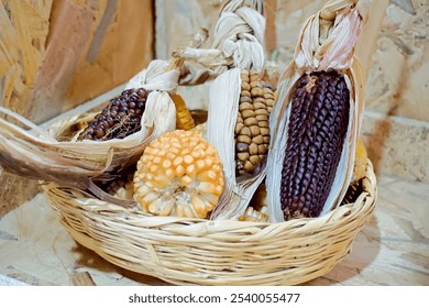 a basket full of Peruvian corn of different types and colors                              