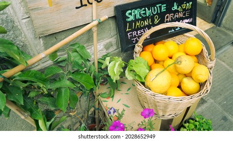 Basket full of yellow lemons at a Mediterranean local store. Beautiful country side scene of fruits and plants.  - Shutterstock ID 2028652949