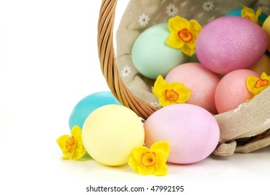 Basket fulled with easter eggs and daffodil petals,Closeup.