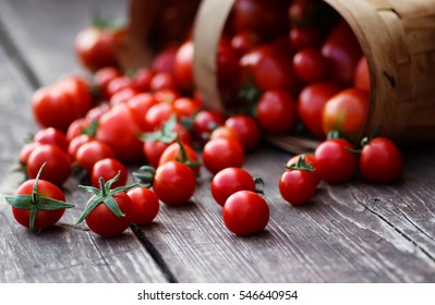 basket harvest fresh tomato  - Powered by Shutterstock