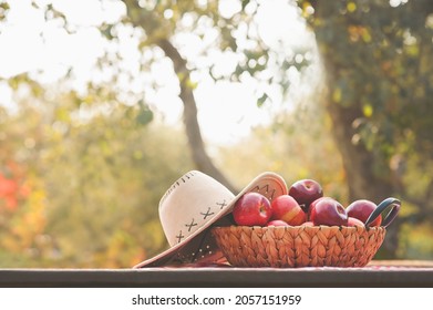 Basket With Harvest Of Ripe Red Apples And Farm Hat On Table. Autumn Background With Wooden Textured Table.