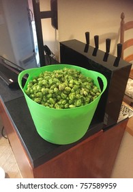 Basket Of Hops Harvested From Home Garden On Homemade Beer Kegerator