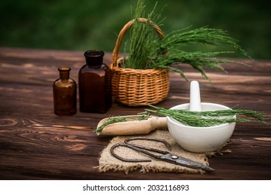 Basket with horsetail collected in ecologically clean place for preparation of potions by healer. Equisetum arvense, field horsetail or common horsetail made from fresh potion, from pharmacy mortar.
