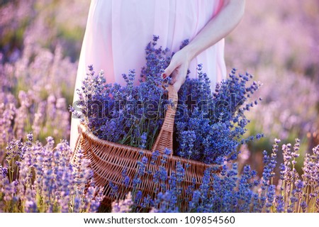 Similar – #A# Picking lavender Art