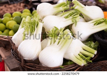 Basket with raw fresh fennel in the market, vegetable background, close-up.