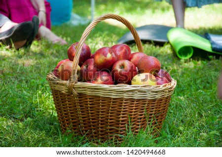 Similar – Closeup of woman putting apples in wicker basket while little girl looking