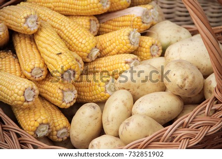 Basket with sweet corn and potatoes.