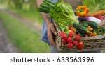 Basket with vegetables (cabbage, carrots, cucumbers, radish and peppers) in the hands of a farmer background of nature Concept of biological, bio products, bio ecology, grown by yourself, vegetarians.