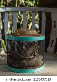basket where to put bird food crickets