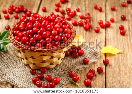 Similar – Image, Stock Photo Ripe red currant berries